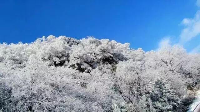 夏之许诺