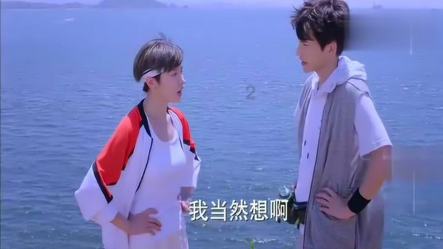 战斗机的反击