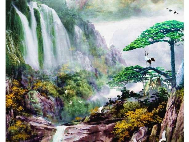 植物大战僵尸17